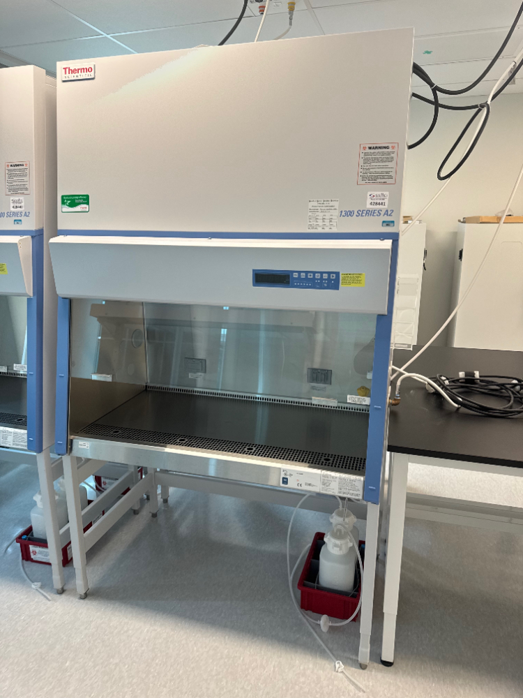 Image of Thermo 1300 Series A2 4' BioSafety Cabinet
